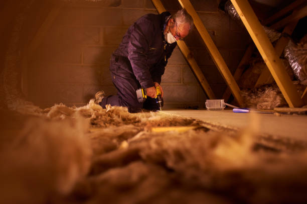 Best Geographic-Specific Insulation Services in Stearns, KY